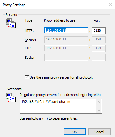 do not use proxy servers for addressing begining with - proxy exclusions