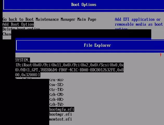 efi boot option FI\Microsoft\Boot\bootmgrfw.efi
