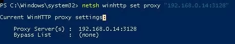 netsh winhttp set proxy 