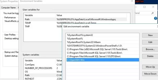 add openssh folder to the system variable path 